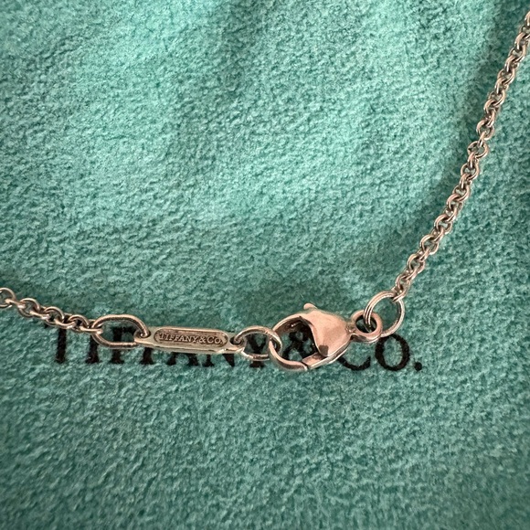 Tiffany & Co. 1837 LARGE Circle Necklace - Picture 5 of 5